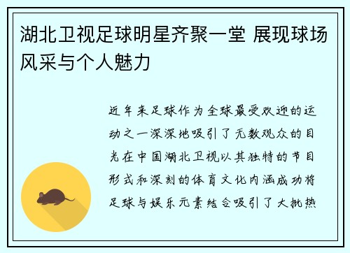 湖北卫视足球明星齐聚一堂 展现球场风采与个人魅力